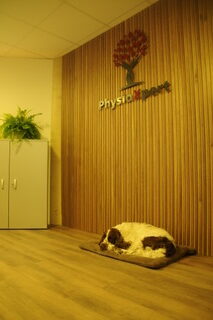 Mavel – Therapiehund